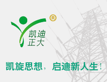 閥型避雷器計數器如何檢測？回顧國家絕緣子避雷器質量監(jiān)督檢驗中心檢驗報告